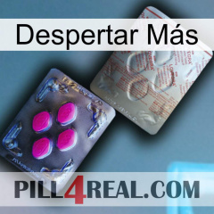 Despertar Más 38